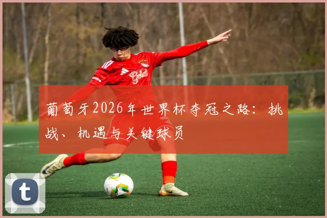 葡萄牙2026年世界杯夺冠之路:挑战、机遇与关键球员